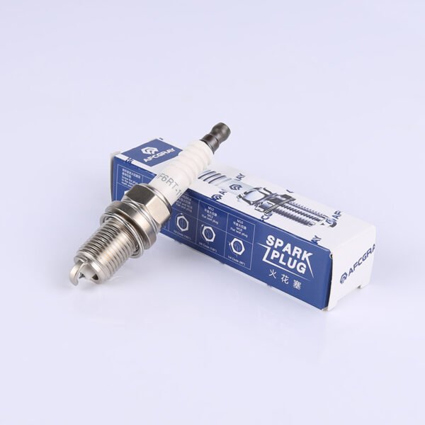 spark plug2